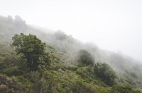 Mist rolls over a lush green hillside landscape. Original public domain image from <a href="https://commons.wikimedia.org/wiki/File:Foggy_Foliage_(Unsplash).jpg" target="_blank" rel="noopener noreferrer nofollow">Wikimedia Commons</a>