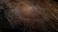 Close-up of growth rings in a thick tree stump. Original public domain image from <a href="https://commons.wikimedia.org/wiki/File:Ancient_stump_(Unsplash).jpg" target="_blank" rel="noopener noreferrer nofollow">Wikimedia Commons</a>