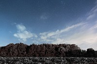 Clouds on a starry sky over a treeline in Hanging Rock State Park. Original public domain image from Wikimedia Commons