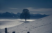 The snowscape taken from a small mountain. Original public domain image from Wikimedia Commons