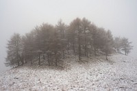 A clump of trees on top of a snowy hill on a foggy day. Original public domain image from <a href="https://commons.wikimedia.org/wiki/File:Trees_on_the_hilltop_(Unsplash).jpg" target="_blank" rel="noopener noreferrer nofollow">Wikimedia Commons</a>