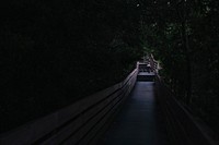 A person walking along a railed pathway at Bay Bluffs Park in the middle of the night. Original public domain image from <a href="https://commons.wikimedia.org/wiki/File:Bay_Bluffs_Park,_Pensacola,_United_States_(Unsplash).jpg" target="_blank" rel="noopener noreferrer nofollow">Wikimedia Commons</a>