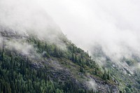Misty fog rolling down the mountain slope of a pine forest. Original public domain image from <a href="https://commons.wikimedia.org/wiki/File:Misty_Pine_Forest_Slope_(Unsplash).jpg" target="_blank" rel="noopener noreferrer nofollow">Wikimedia Commons</a>