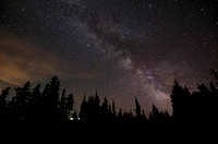 Silhouettes of evergreen trees and lights from tents under a starry sky. Original public domain image from Wikimedia Commons