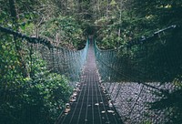 Hanging bridge. Original public domain image from Wikimedia Commons