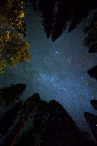 Yosemite Valley, United States. Original public domain image from Wikimedia Commons