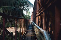 A wooden bridge that is lined with pipes and palm trees in Luang Prabang. Original public domain image from <a href="https://commons.wikimedia.org/wiki/File:Luang_Prabang_bridge_(Unsplash).jpg" target="_blank" rel="noopener noreferrer nofollow">Wikimedia Commons</a>