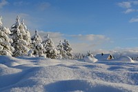 Frosty forest on snowy day. Original public domain image from Wikimedia Commons