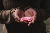 A person's cupped hands holding a delicate pink flower. Original public domain image from Wikimedia Commons