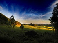 Green grass lawn in the nature. Original public domain image from Wikimedia Commons