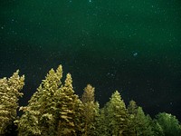 Starry sky in the wilderness. Original public domain image from Wikimedia Commons