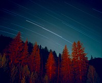 Red light on coniferous trees under straight lines formed by stars moving in the sky. Original public domain image from <a href="https://commons.wikimedia.org/wiki/File:Moving_stars_above_red_trees_(Unsplash).jpg" target="_blank" rel="noopener noreferrer nofollow">Wikimedia Commons</a>