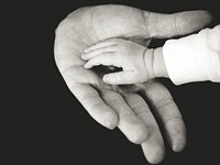 A black and white close up shot of a man's hand, with his child's hand in his palm. Original public domain image from Wikimedia Commons