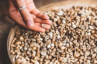 Green coffee beans. Original public domain image from Wikimedia Commons