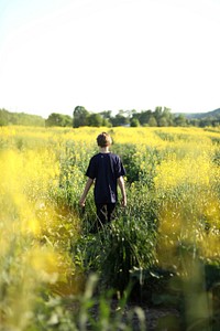 A boy dressed in dark colors stands in a field of yellow flowers in Cleveland.. Original public domain image from <a href="https://commons.wikimedia.org/wiki/File:A_boy_standing_in_a_field_of_yellow_flowers._(Unsplash).jpg" target="_blank" rel="noopener noreferrer nofollow">Wikimedia Commons</a>