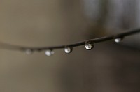 A line with beads of dew hanging evenly spaced. Original public domain image from Wikimedia Commons