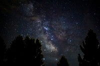 Starry night sky with milky way in forest.Original public domain image from Wikimedia Commons