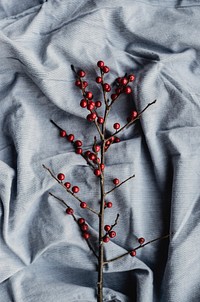 Holly on white cloth. Original public domain image from Wikimedia Commons