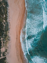 Drone aerial view of the ocean washing on the Mona Vale Beach. Original public domain image from <a href="https://commons.wikimedia.org/wiki/File:Mona_Vale_Beach_(Unsplash).jpg" target="_blank" rel="noopener noreferrer nofollow">Wikimedia Commons</a>