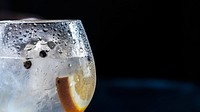 Sparkling water with sliced lemon. Original public domain image from <a href="https://commons.wikimedia.org/wiki/File:Jez_Timms_2016-01-26_(Unsplash).jpg" target="_blank">Wikimedia Commons</a>