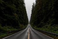 An asphalt road through a dark forest. Original public domain image from Wikimedia Commons