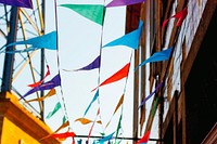 Bunting. Original public domain image from Wikimedia Commons