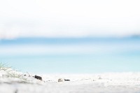 White sand beach in focus in Marseille. Original public domain image from Wikimedia Commons