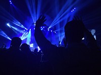 Crowd cheering in a concert. Original public domain image from Wikimedia Commons