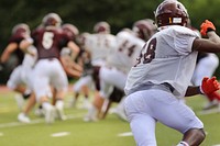 Football player playing on green grass field. Original public domain image from <a href="https://commons.wikimedia.org/wiki/File:Geoff_Scott_2016_(Unsplash).jpg" target="_blank">Wikimedia Commons</a>