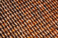 Old terracotta clay tile in vertical rows on a house roof. Original public domain image from Wikimedia Commons