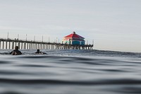 Two swimmers and the pier in the background viewed from the water surface at Huntington Beach. Original public domain image from Wikimedia Commons