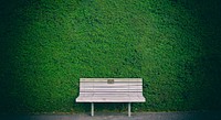 A bench near a green hedge in Hamilton Gardens. Original public domain image from Wikimedia Commons