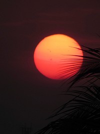 Red full moon behind a silhouette tree on a dark night.Original public domain image from Wikimedia Commons