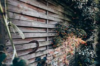 Wooden fence with plants. Original public domain image from <a href="https://commons.wikimedia.org/wiki/File:Thomas_Hafeneth_2017-04-25_(Unsplash).jpg" target="_blank">Wikimedia Commons</a>