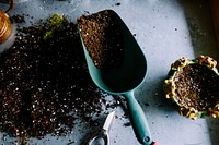 Green metal garden shovel filled with soil. Original public domain image from Wikimedia Commons