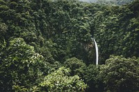 Beautiful waterfall in Costa Rica. Original public domain image from <a href="https://commons.wikimedia.org/wiki/File:La_Fortuna_Waterfall,_La_Fortuna_de_San_Carlos,_Costa_Rica_(Unsplash).jpg" target="_blank">Wikimedia Commons</a>