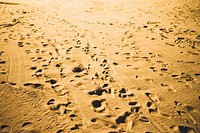 Footprints cover the sand on a desert beach. Original public domain image from Wikimedia Commons