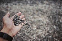 A person wearing a watch holding a bunch of gravel in their hand. Original public domain image from Wikimedia Commons