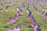 USA flags. Original public domain image from Wikimedia Commons