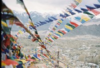 Bunting at Leh. Original public domain image from Wikimedia Commons