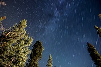 Worm's view of sky filled with stars. Original public domain image from Wikimedia Commons