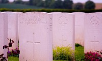 Rows of white tombstones in a cemetery.. Original public domain image from Wikimedia Commons