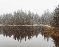 A row of evergreen trees lightly covered in snow are reflected in a lake just below them. Original public domain image from Wikimedia Commons
