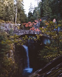 Waterfall. Original public domain image from Wikimedia Commons