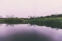Bishan-Ang Mo Kio Park, Singapore. Original public domain image from <a href="https://commons.wikimedia.org/wiki/File:Bishan-Ang_Mo_Kio_Park,_Singapore_(Unsplash).jpg" target="_blank" rel="noopener noreferrer nofollow">Wikimedia Commons</a>