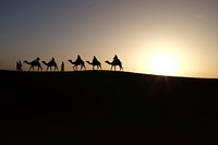 Silhouette of people walking with camels along the horizon in the Sahara desert. Original public domain image from Wikimedia Commons
