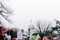 A group of protestors at the Women's March near the Capitol in Washington. Original public domain image from Wikimedia Commons