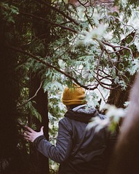 Person holding at tree. Original public domain image from Wikimedia Commons