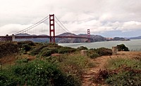 View of Golden Gate Bridge from the bushes. Original public domain image from <a href="https://commons.wikimedia.org/wiki/File:Golden_Gate_Through_The_Brush_(Unsplash).jpg" target="_blank" rel="noopener noreferrer nofollow">Wikimedia Commons</a>