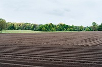 Soil and valley. Original public domain image from <a href="https://commons.wikimedia.org/wiki/File:Cologne,_Germany_(Unsplash_KOcX_vw75Xs).jpg" target="_blank">Wikimedia Commons</a>
